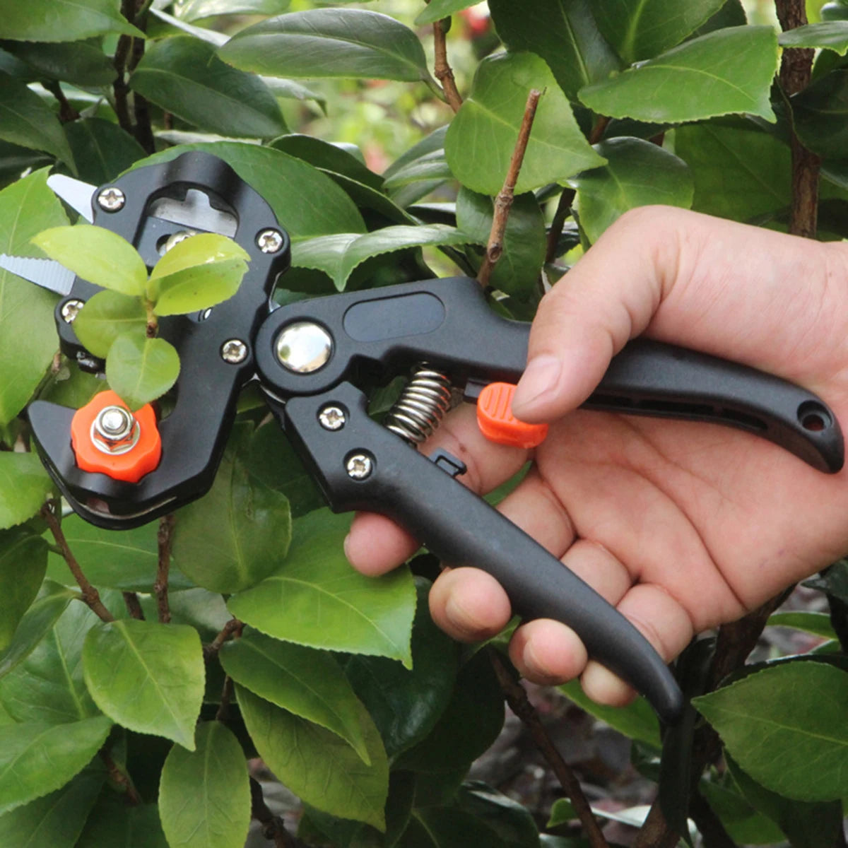 Grafting Pruner Garden Tool Branch Cutter - Dons' Adventure Gear 